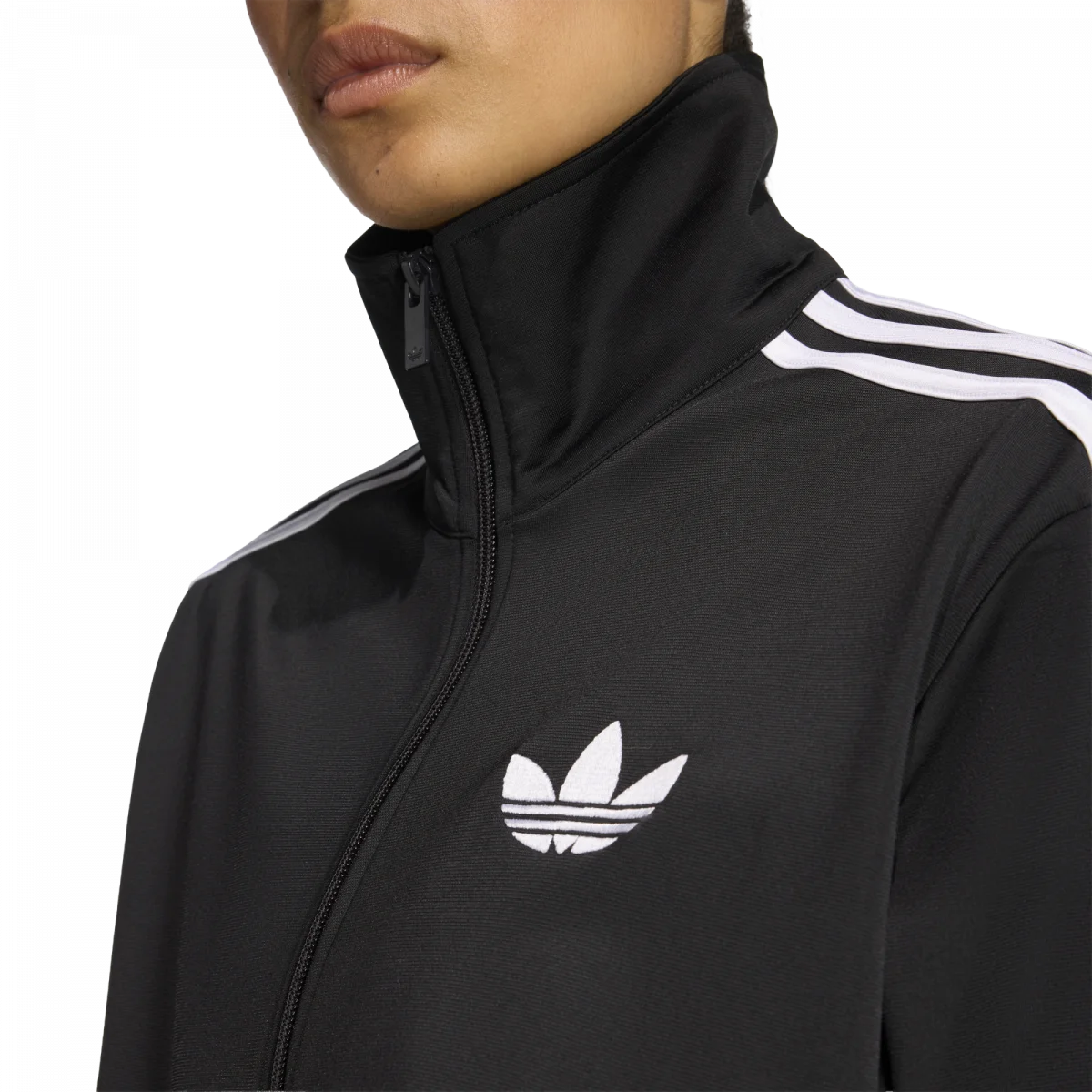 Image-05-69669a3f4815a